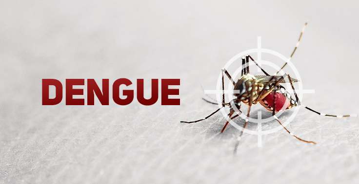 Dengue IMAGEM INTERNA.png