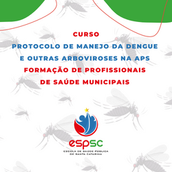 Protocolo de Manejo da Dengue e outras Arboviroses na APS 