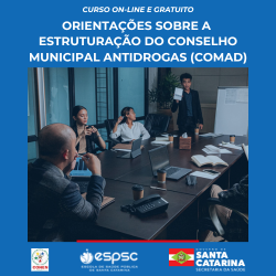 ORIENTAÇÕES SOBRE A ESTRUTURAÇÃO DO COMAD - 11ª TURMA 