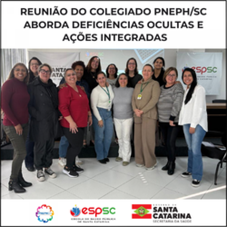 REUNIÃO DO COLEGIADO PNEPH/SC ABORDA DEFICIÊNCIAS OCULTAS 
